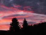 DSCF3310 (2).JPG