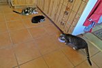 IMG_8620 v (2).JPG