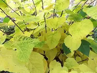 DSCI1046.webp