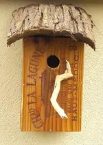 20180402_111043(0).jpg