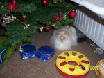 100_2247.JPG