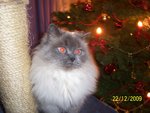 100_2239.JPG