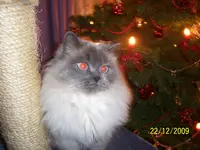 100_2239.webp