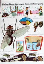 plakat-stubenfliege.jpg