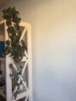 WhatsApp Image 2019-11-29 at 11.46.55 AM.webp