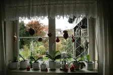 Adventszeit  0419.webp