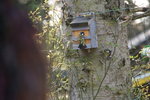 DSC08516.JPG