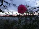 DSC00767.JPG