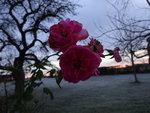 DSC00768.JPG