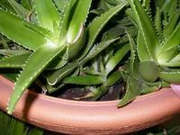 02_12_2019_Winterlasger (6).webp