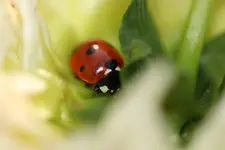 image001.webp