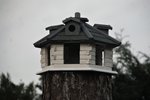 DSC08526.JPG