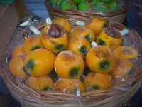 DSCN8619.webp