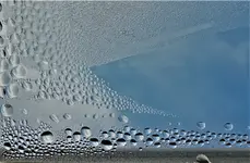 2019blue10.jpg