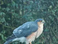 DSCF3324 (2).webp