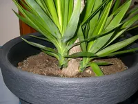 04_12_2019 (16).webp
