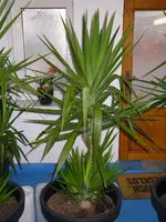 04_12_2019 (4).webp
