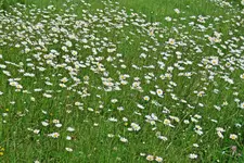 IMG_8916 v (2).webp