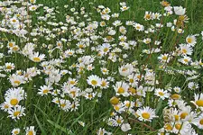 IMG_8944 v (2).webp