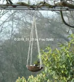 Forum Meise Kokosnusschaukel P1110607 2019_01_23.webp