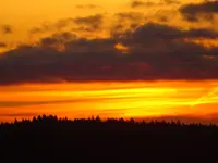 DSC00786.JPG