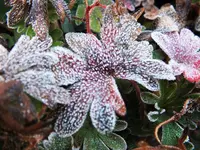 DSCF3340 (2).webp