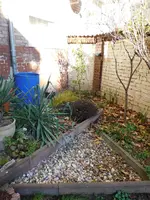 DSCN3223.webp
