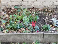 DSCN3227.webp