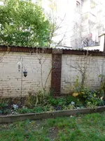 DSCN3228.webp