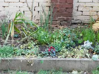 DSCN3229.webp