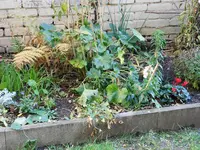 DSCN3232.webp