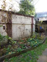 DSCN3236.webp