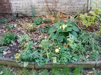 DSCN3237.webp