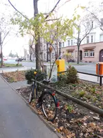 DSCN3240.webp