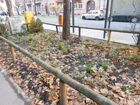 DSCN3242.webp