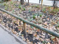 DSCN3245.webp