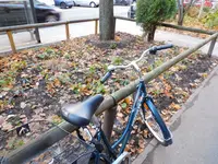 DSCN3246.webp