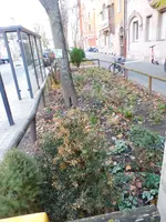 DSCN3250.webp
