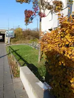 DSCN3162.webp