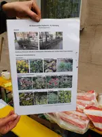 DSCN2963.webp