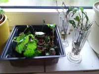 20191202_150627.webp