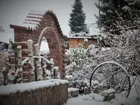 DSCF3350 (2).JPG