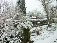 DSCF3351 (2).webp