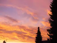 DSCF3348 (2).webp