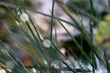 image006.webp