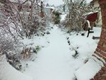 DSCF3371 (2).JPG