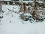 DSCF3364 (2).JPG