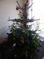 P1110524.webp