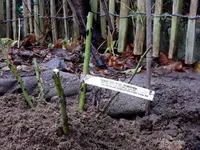 DSCN1533.webp DSCN1533.webp