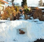 DSCF3378 (2).JPG
